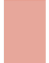 Blooth Pink No. 9806 - Farrow & Ball Paint