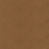 Bronzed Caramel - MLT140 PPG Paint