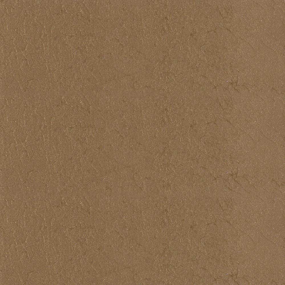 Bronzed Ginger - MLT134 PPG Paint