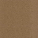 Bronzed Ginger - MLT134 PPG Paint