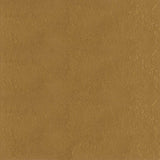 Bronzed Orched - MLT136 PPG Paint