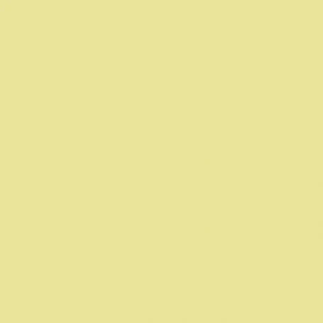 Butterweed No. 9802 - Farrow & Ball Paint