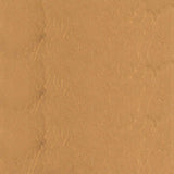 Copper Kiss- MLT139 PPG Paint