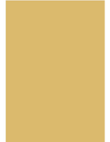 Corngold No. 9915 - Farrow & Ball Paint