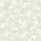 Ginkgo Toss Wallpaper by Antonina Vella Wallpaper