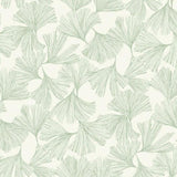 Ginkgo Toss Wallpaper by Antonina Vella Wallpaper