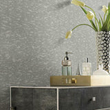 Weathered Cypress Wallpaper by Antonina Vella Wallpaper