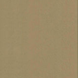 Etched Chevron Wallpaper by Antonina Vella Wallpaper