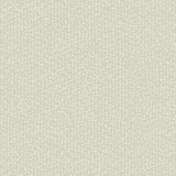 Galaxies Wallpaper by Antonina Vella Wallpaper