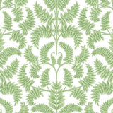 Royal Fern Damask Wallpaper by Damask Resource Library