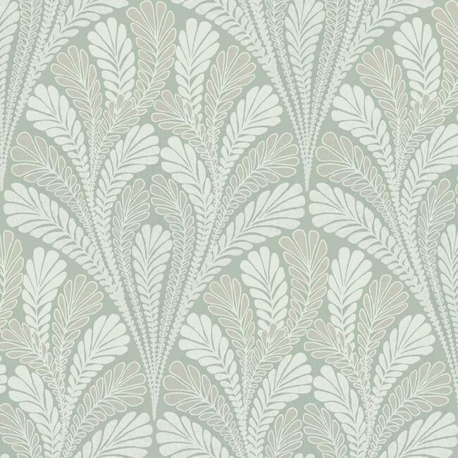 Shell Damask Wallpaper by Black & White Resource Library