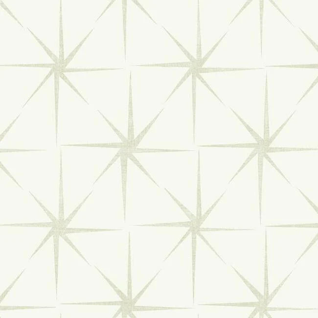 Evening Star Wallpaper by Grandmillennial Wallpaper