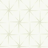 Evening Star Wallpaper by Grandmillennial Wallpaper