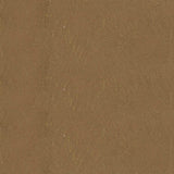 Golden Chestnut - MLT135 PPG Paint