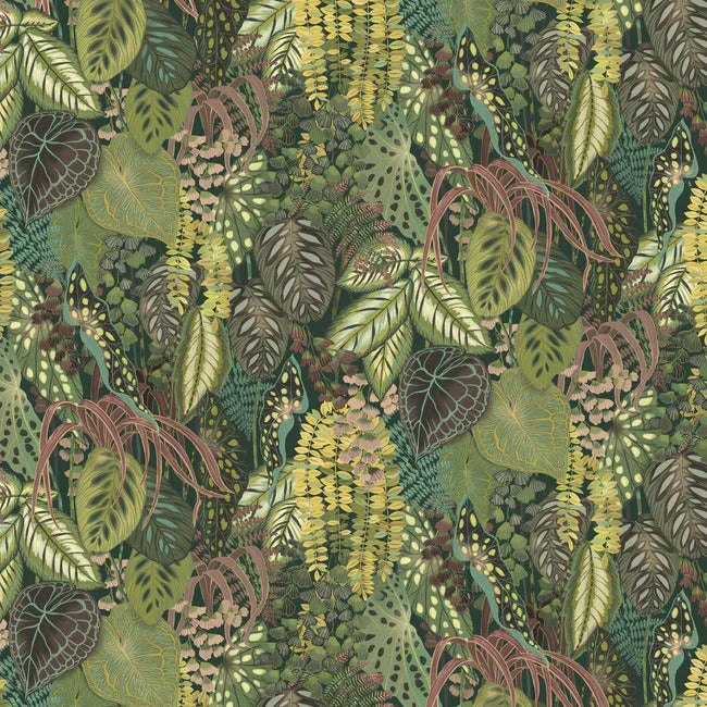 Greenery Mura Wallpaper by Greenhouse Wallpaper
