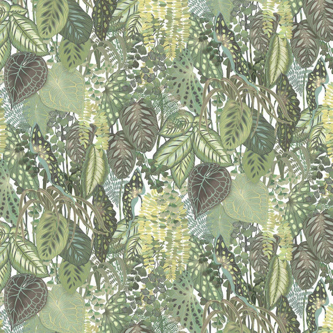 Greenery Mura Wallpaper by Greenhouse Wallpaper