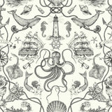 Deep Sea Toile Wallpaper by Open Sheet