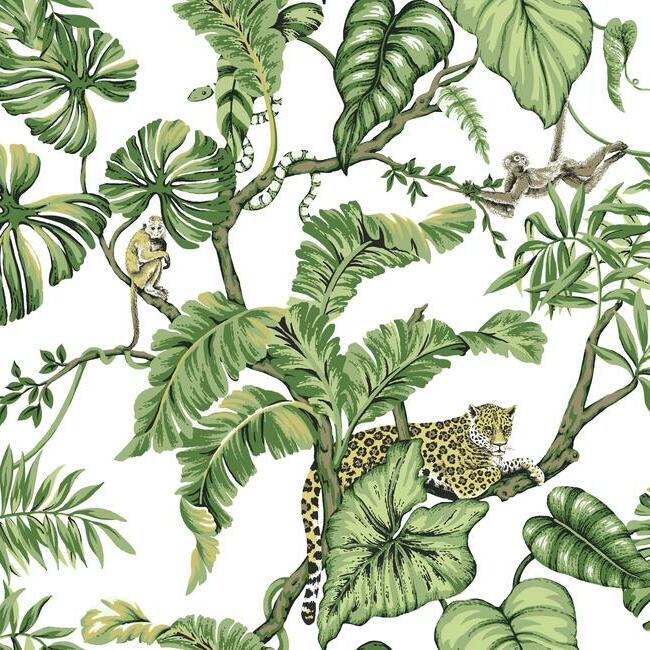 Jungle Cat Wallpaper by Ronald Redding Wallpaper