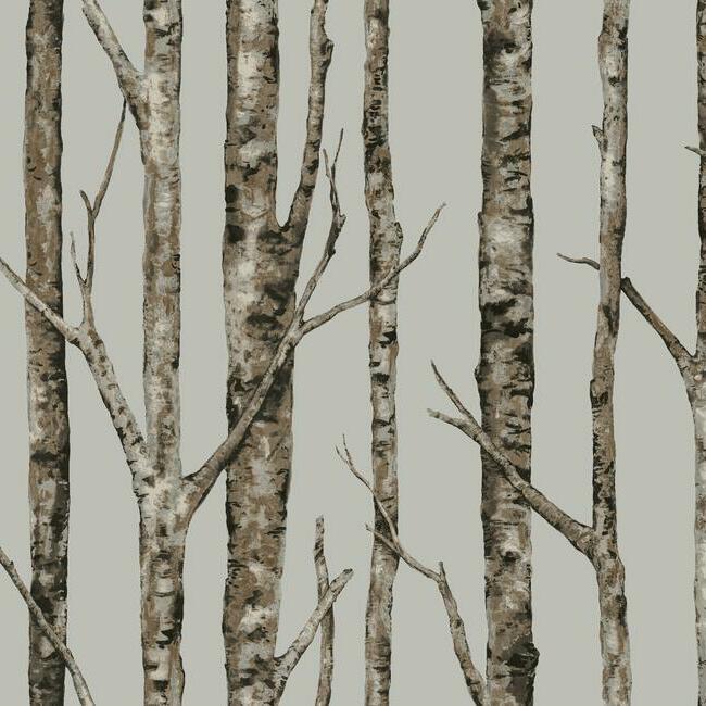 The Birches Unpasted Wallpaper by Open Sheet