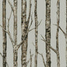 The Birches Unpasted Wallpaper by Open Sheet
