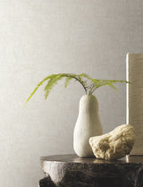 Trabadillo Plaster by Montecito
