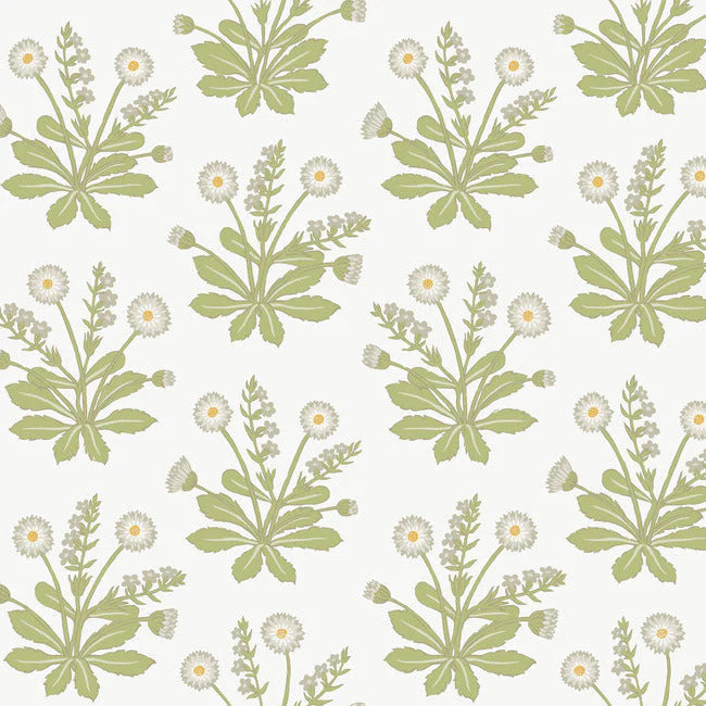 Meadow Flowers Wallpaper by Ronald Redding Wallpaper