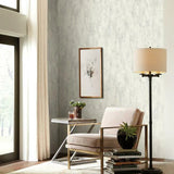 Concrete Patina Wallpaper by Antonina Vella Wallpaper