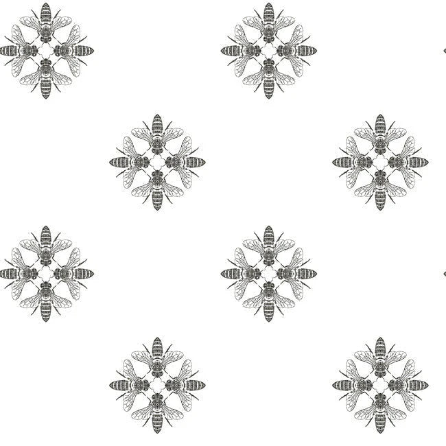 Honey Bee Wallpaper by Black & White Resource Library