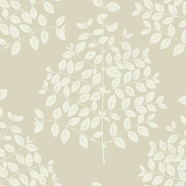 Tender Wallpaper by Candice Olson Wallcoverings