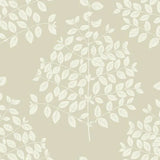 Tender Wallpaper by Candice Olson Wallcoverings