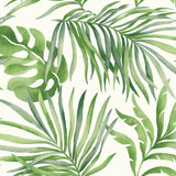 Paradise Palm Premium Peel + Stick Wallpaper by Candice Olson Wallcoverings