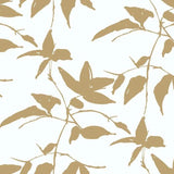 Persimmon Leaf Wallpaper by Ronald Redding Wallpaper