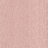 Pink Blink - MLT121 PPG Paint