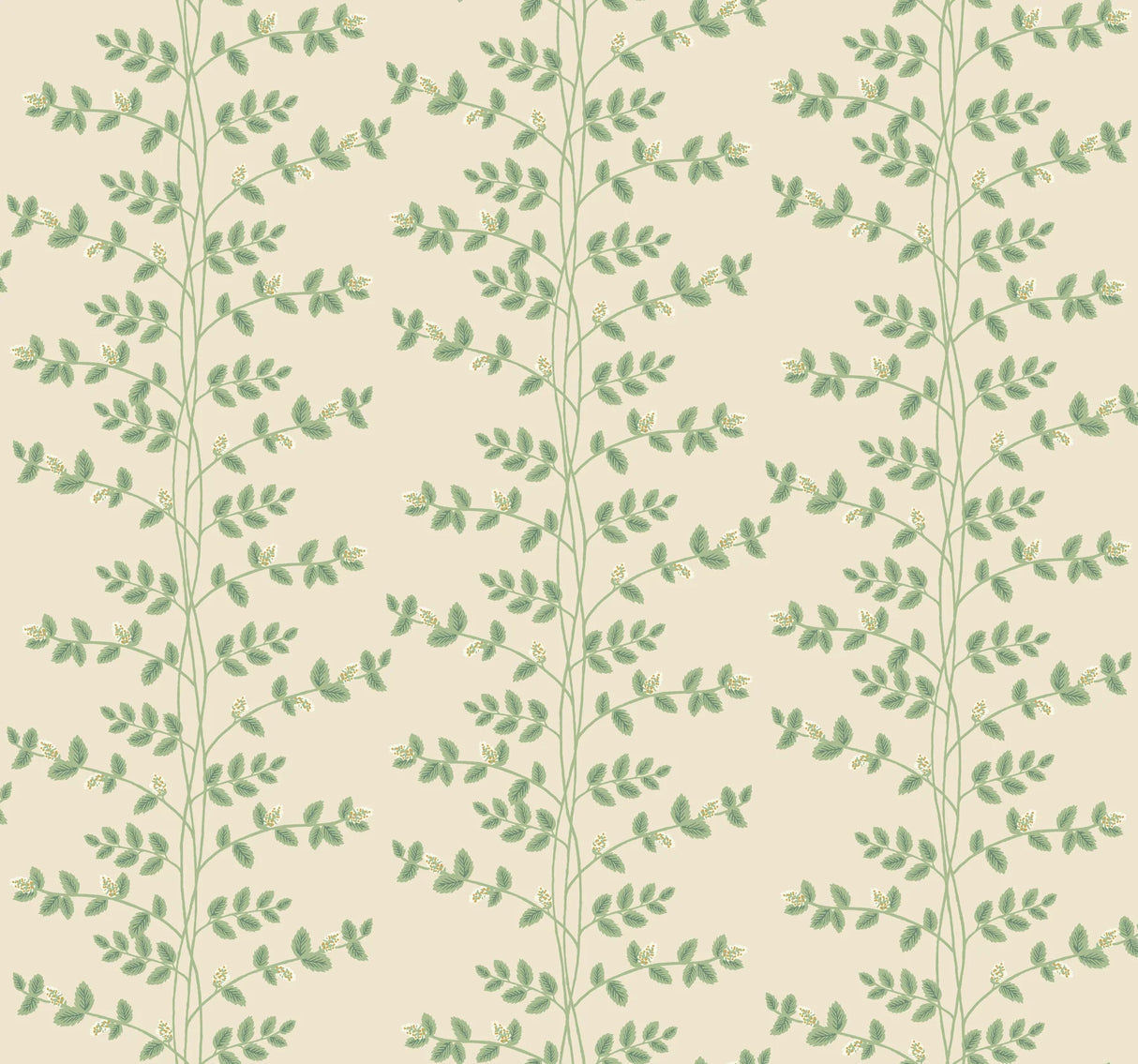 Climbing Vine Wallpaper by Rifle Paper Co. Third Edition