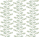 Climbing Vine Wallpaper by Rifle Paper Co. Third Edition