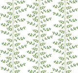 Climbing Vine Wallpaper by Rifle Paper Co. Third Edition