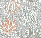 Coral Leaves Wallpaper by Toiles Resource Library