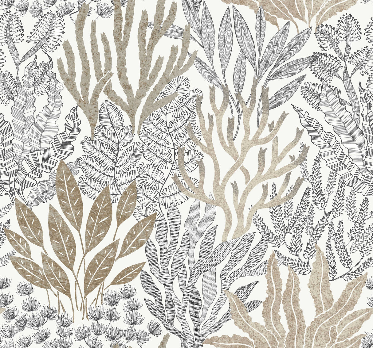 Coral Leaves Wallpaper by Toiles Resource Library
