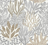 Coral Leaves Wallpaper by Toiles Resource Library