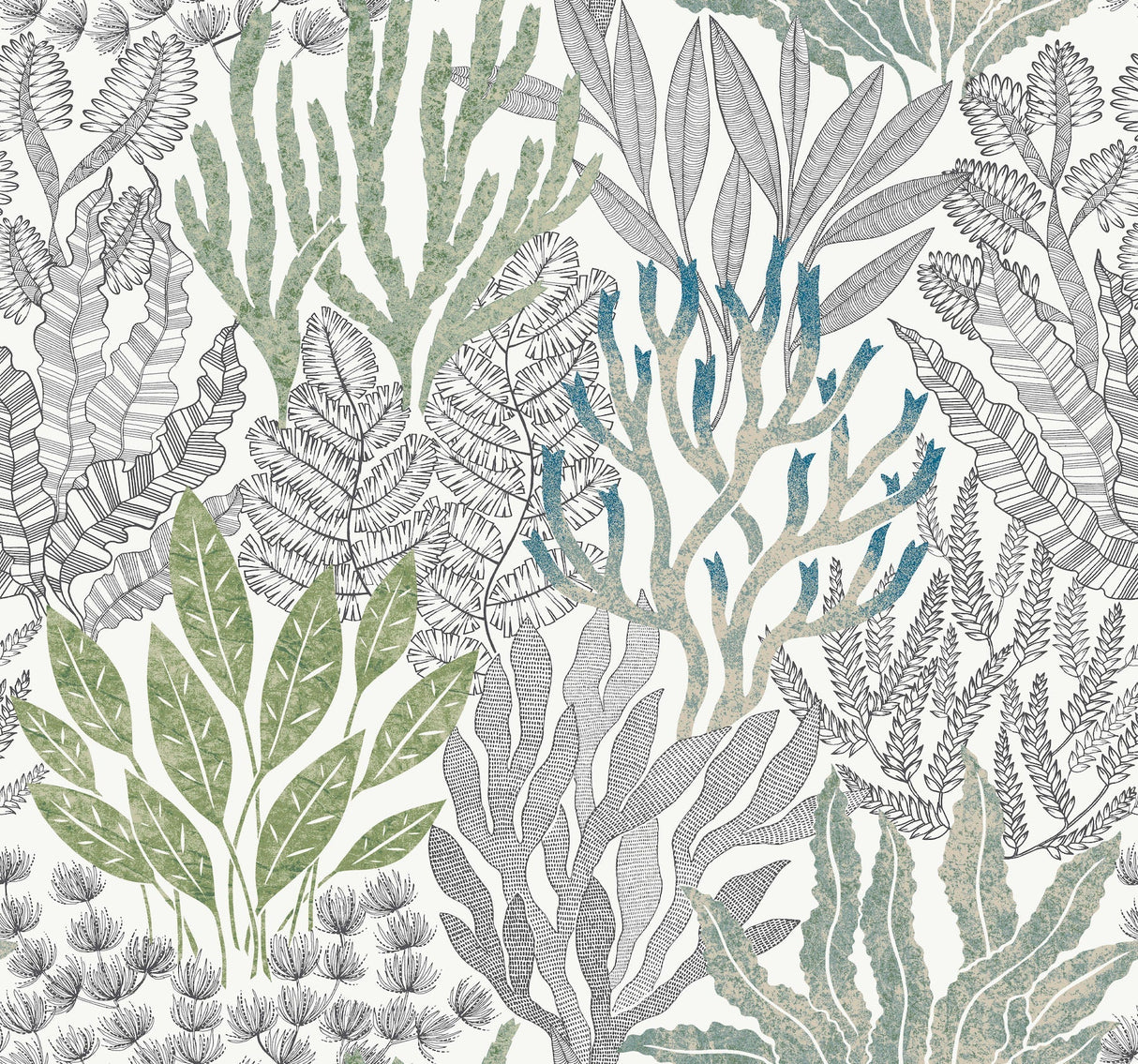 Coral Leaves Wallpaper by Toiles Resource Library