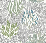 Coral Leaves Wallpaper by Toiles Resource Library