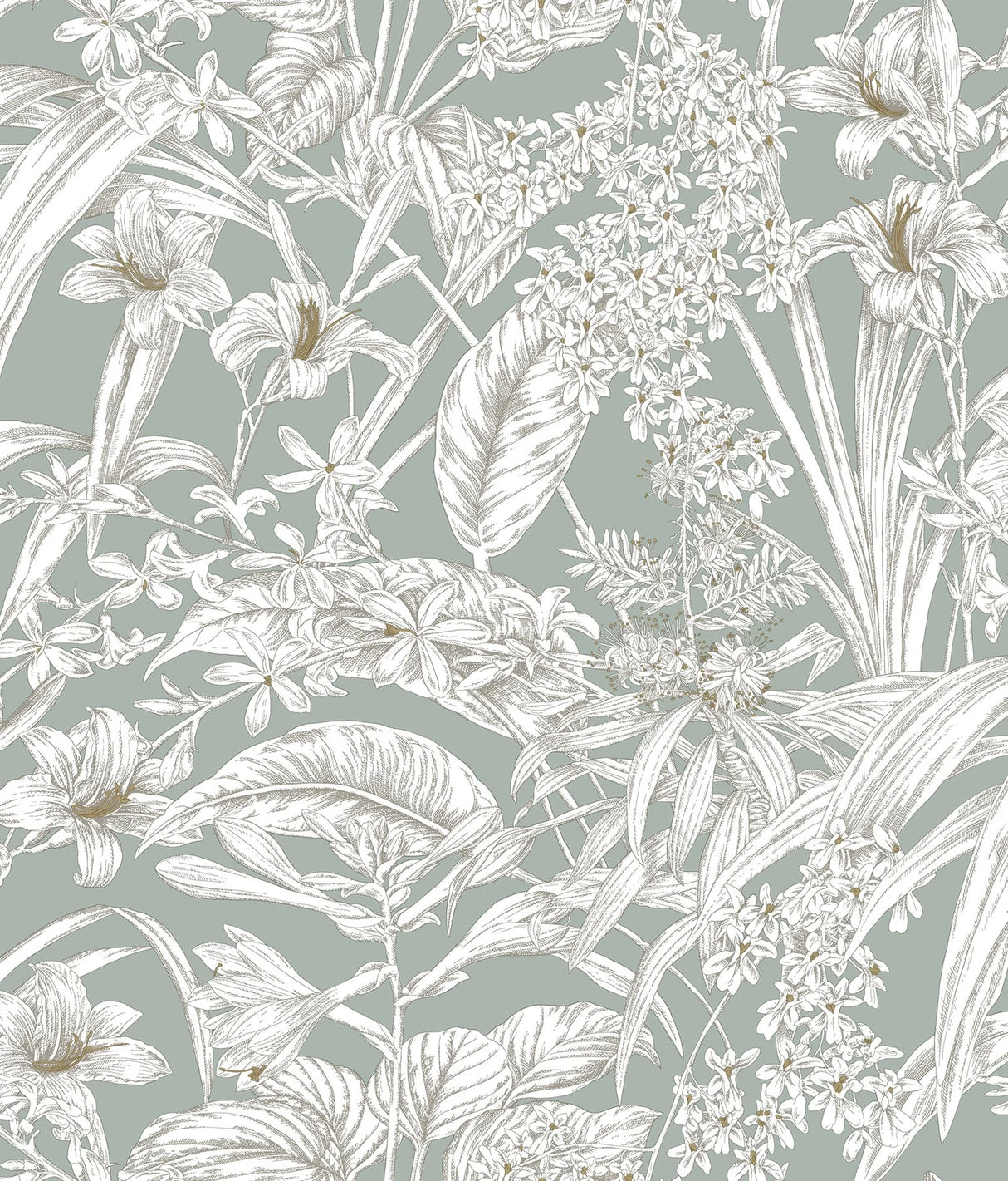 Orchid Conservatory Toile Wallpaper by Toiles Resource Library