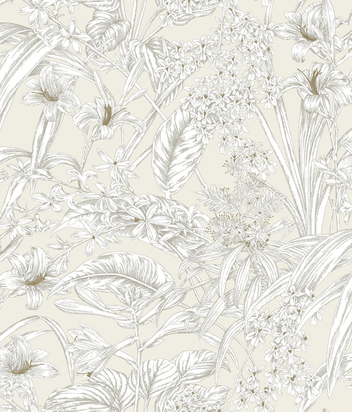 Orchid Conservatory Toile Wallpaper by Toiles Resource Library