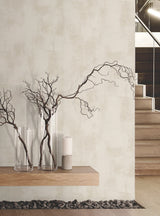 Italian Plaster by Montecito