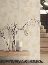 Italian Plaster by Montecito