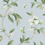 Springtime Wallpaper by Greenhouse Wallpaper