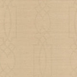 Cathedral Trellis Wallpaper by Open Sheet