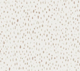 Tachette Wallpaper by Lemieux Et Cie Wallpaper
