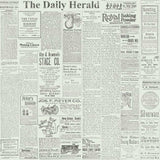 The Daily Wallpaper by Magnolia Home Vol. 1