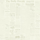 The Daily Wallpaper by Magnolia Home Vol. 1